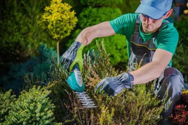 landscaping services Olive Branch